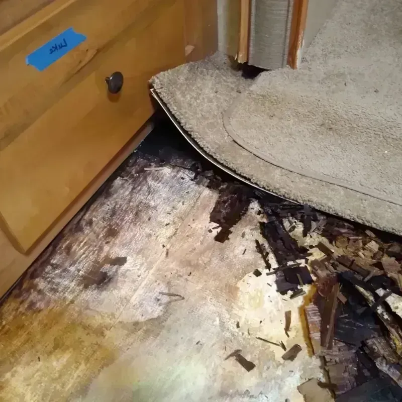 Best Wood Floor Water Damage Service in West Sharyland, TX